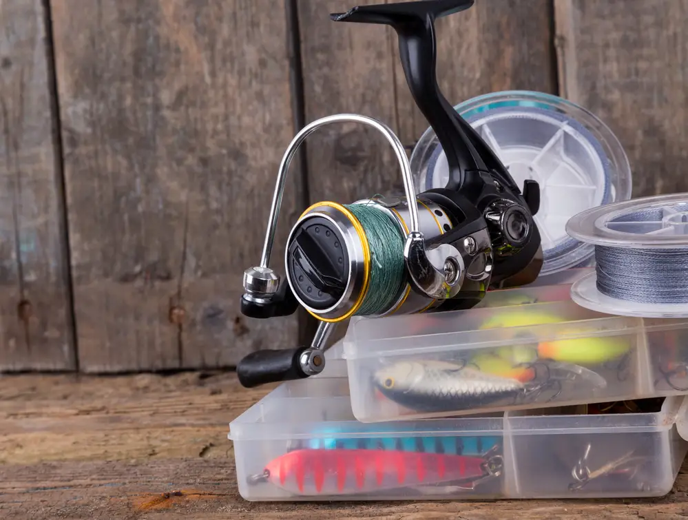 The Best Bait Hacks for Successful Fishing in 2024!