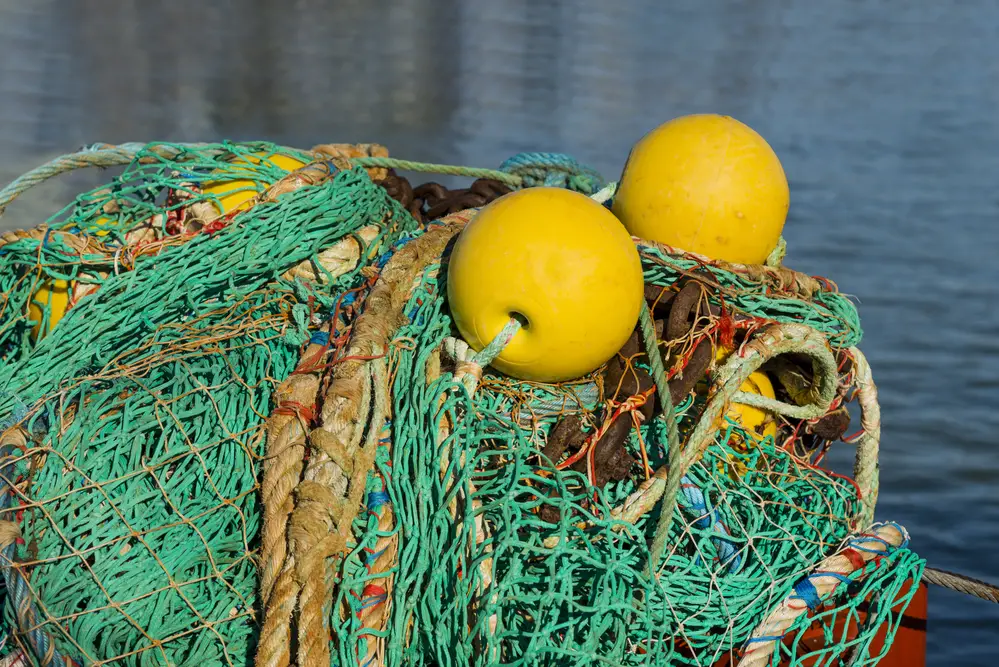 How To Fish Without Using a Fishing Rod? Our Team Shares Best Tips