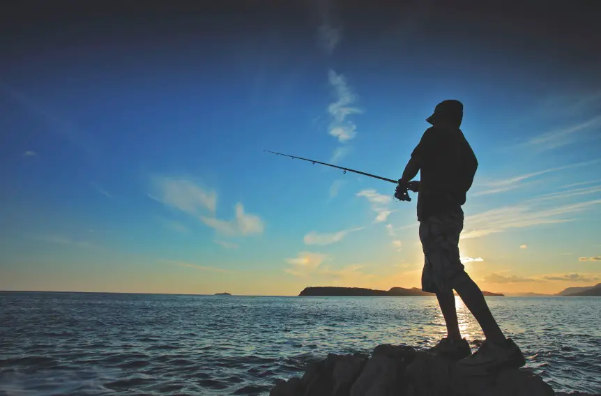 Beginner's Guide: What is the Best Time to go Fishing? | Gearweare.net