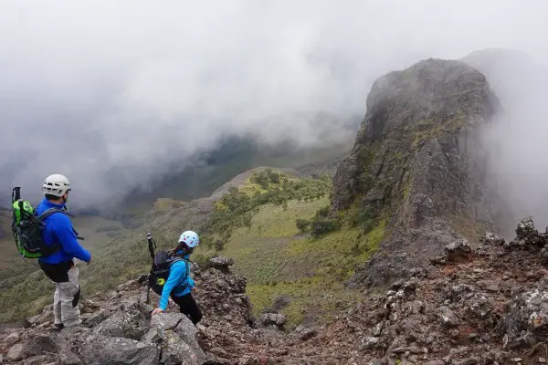 Best trekking poles Reviewed GearWeAre
