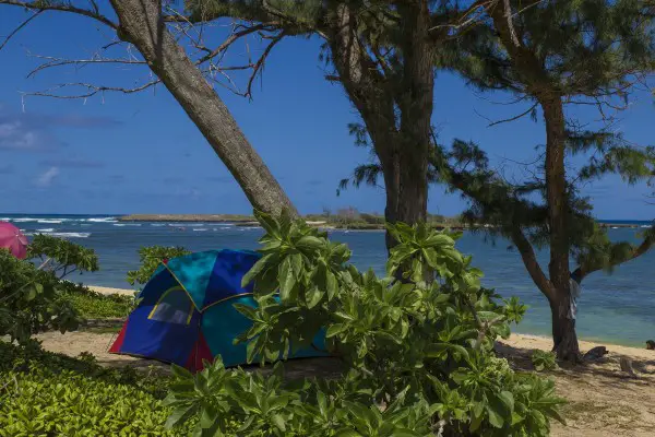 Best Beach Canopy GearWeAre