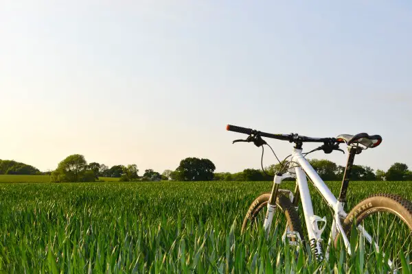 Best Bicycle Lights Reviewed GearWeAre