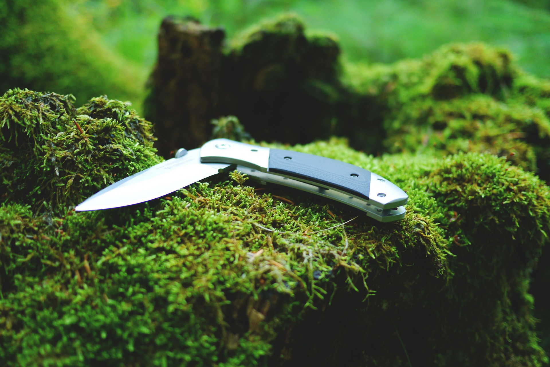 The Best Pocket Knives Reviewed For 2024 | Gearweare.net