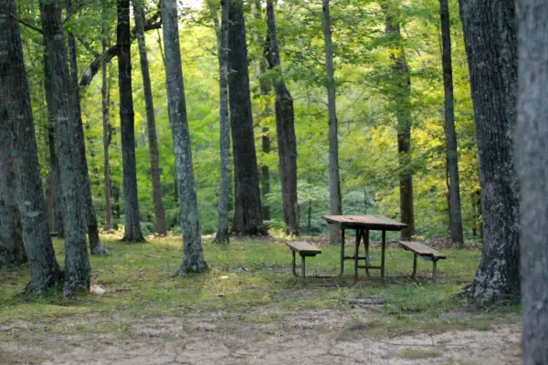 Best Camping Tables Reviewed 2017 GearWeAre