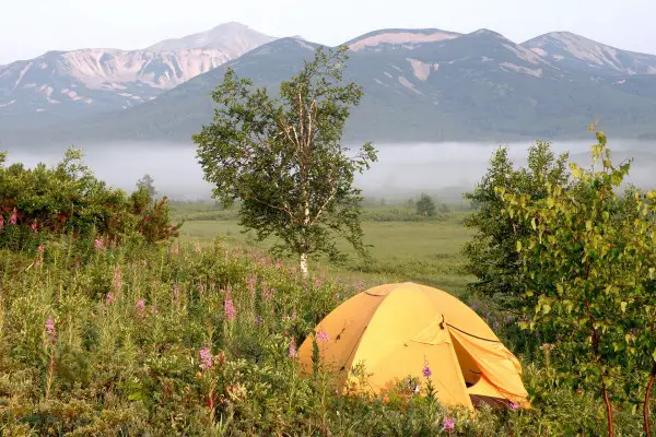 Best Summer Tents Reviewed GearWeAre