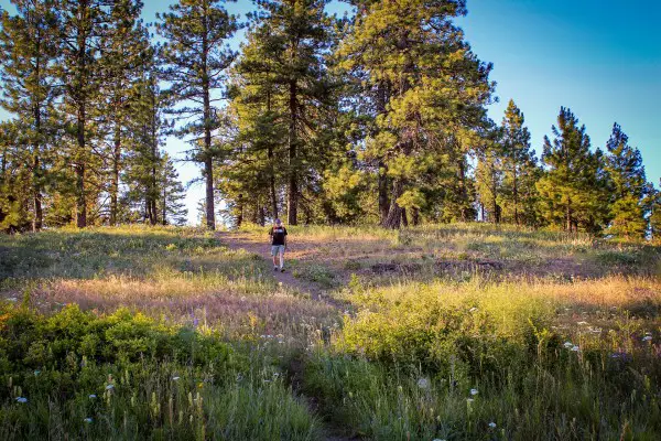 Best hiking essentials Reviews GearWeAre