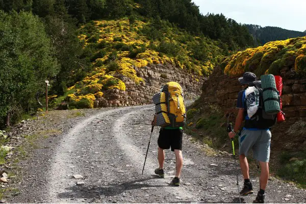 Best Backpacking Pillow GearWeAre