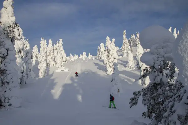 Best Crosscountry skis Reviewed GearWeAre