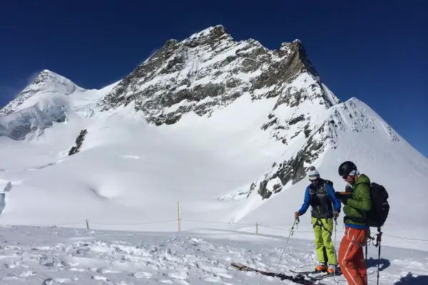 best climbing skins reviewed gearweare