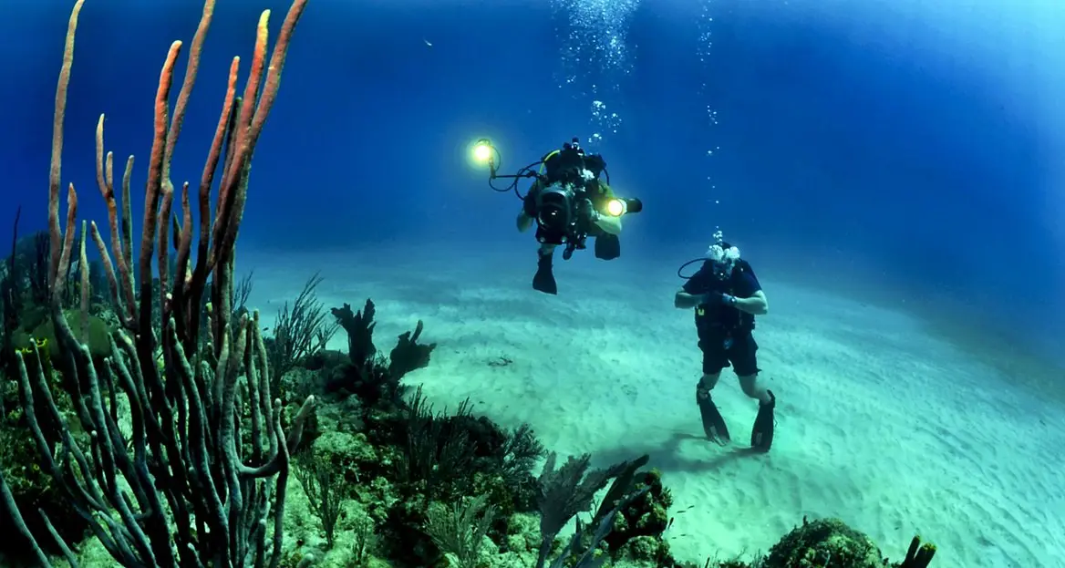 Best Underwater Cameras Reviewed 2024