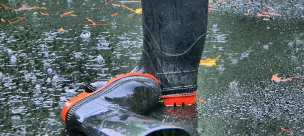 best water boots for work