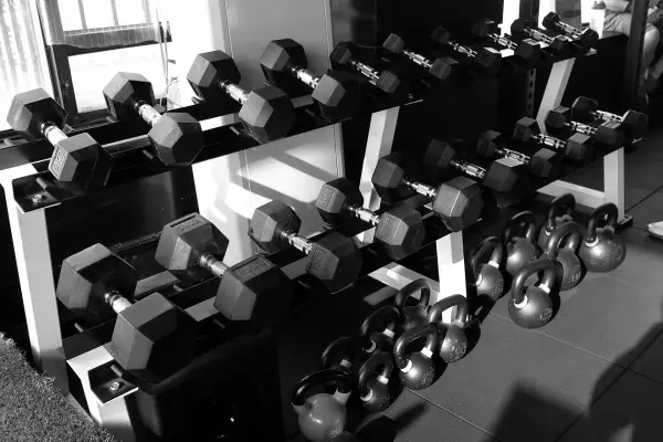 Best Dumbbells Reviewed 2018 GearWeAre