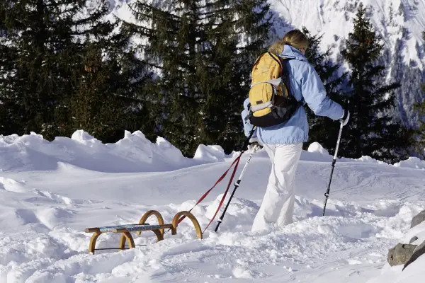 Best Hiking Sticks Reviewed 2018 GearWeAre