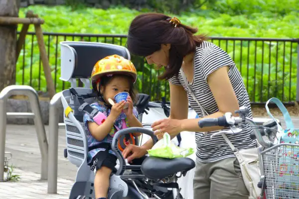Best Kids Bike Seats Reviewed 2018 GearWeAre