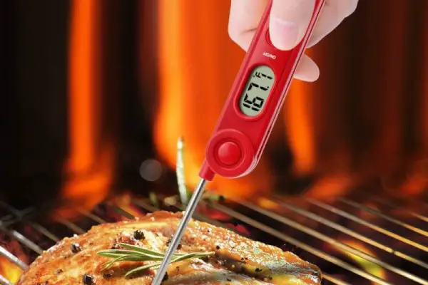 Best Meat Thermometers Reviewed 2018 GearWeAre