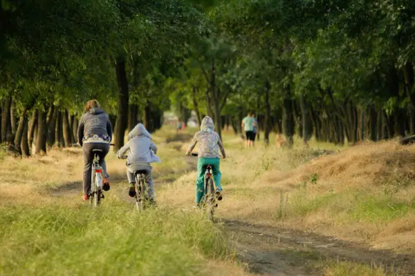 Best Kids Bikes Reviewed 2018 GearWeAre