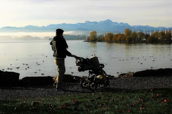 Best Traveling Strollers Reviewed 2018 GearWeAre
