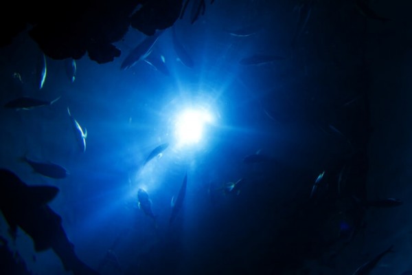 Best Dive Lights Reviewed 2018 GearWeAre