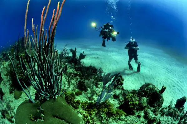 Best Dive Knives Reviewed 2018 GearWeAre