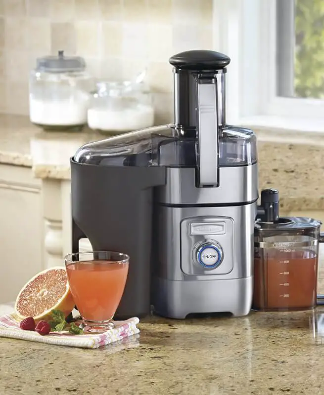 Top Rated Juicer 2024 Eran Odella