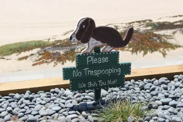 Best Dog Poop Bags Reviewed 2018 GearWeAre