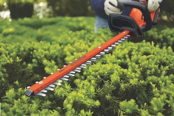 Best Hedge Trimmers Reviewed and Rated 2018 GearWeAre