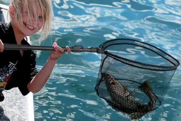 Best Fishing Nets Reviewed 2018 GearWeAre