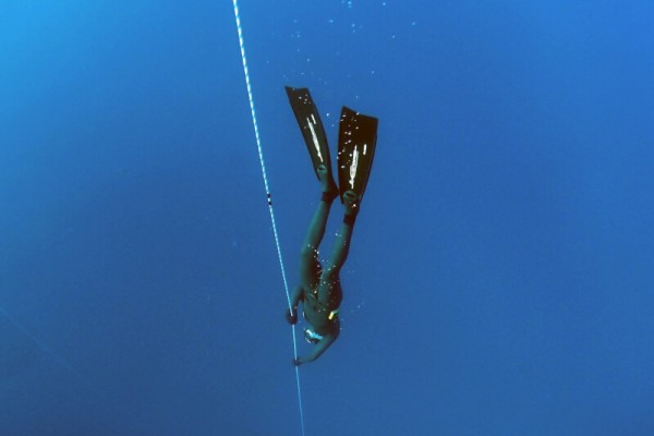 Best Freediving Fins Reviewed 2018 GearWeAre