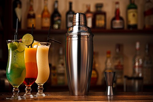 Best Cocktail Shakers Reviewed 2024 | Gearweare.net