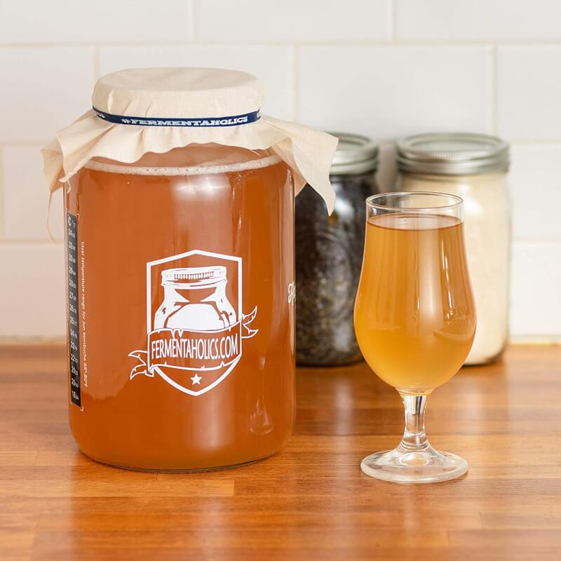 best kombucha starter