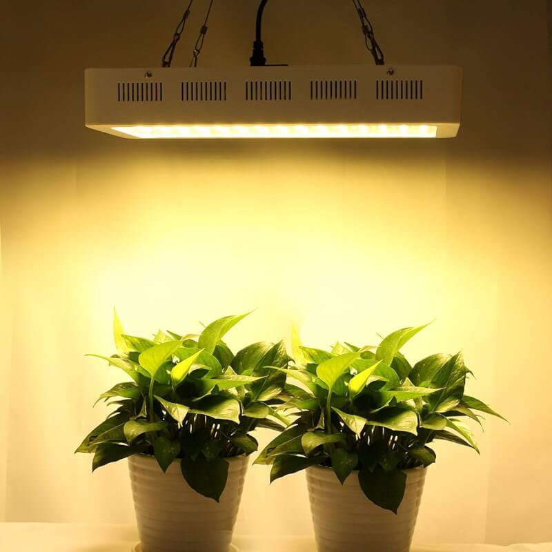 Best Grow Lights Reviewed 2024