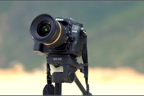Best Nikon Macro Lens Reviewed 2019 GearWeAre
