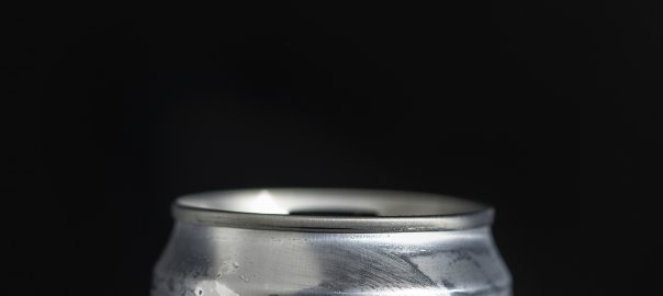 coleman lounger stainless steel can insulator