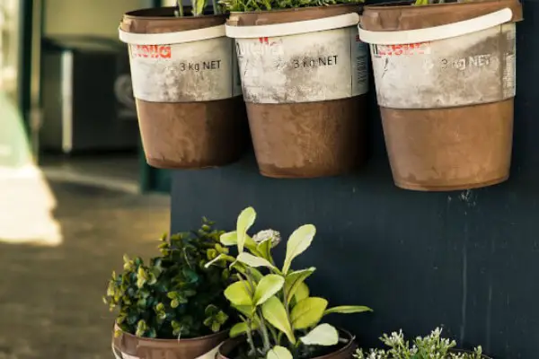 The Best Indoor Herb Garden Kit Reviewed GearWeAre