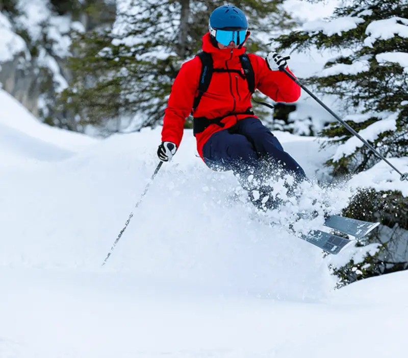 Patagonia Powder Bowl Jacket