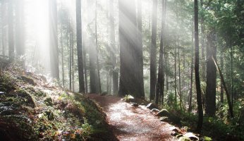 Trail Profiles: North Umpqua Trail