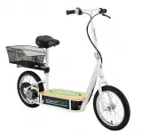 Razor EcoSmart