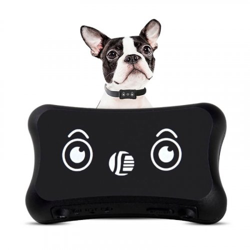 Pet GPS Tracker