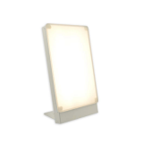 Northern Light Technologies