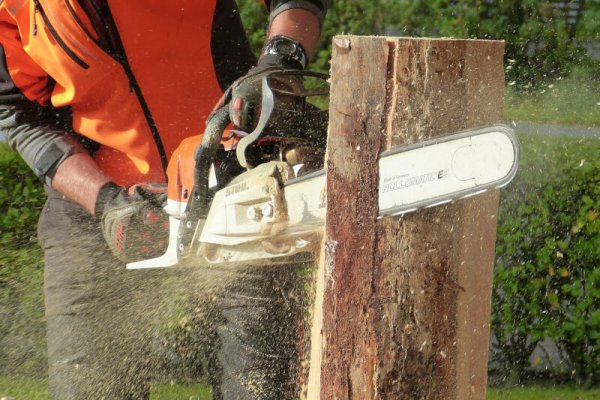 Our review of the best overall chainsaws