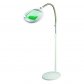 Brightech LightView Pro LED Magnifying Floor Lamp