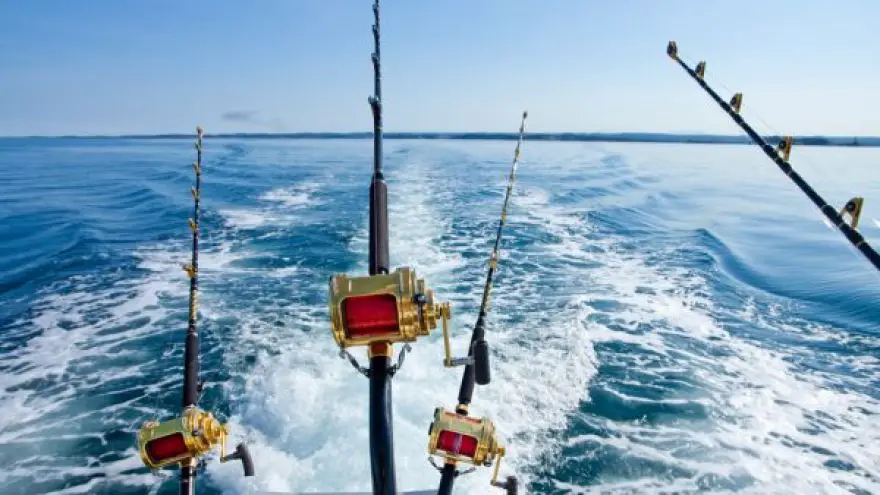 Inshore or Offshore Fishing? Understand the differences