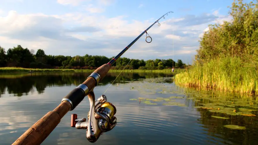 Spin Rod Fishing for Trout