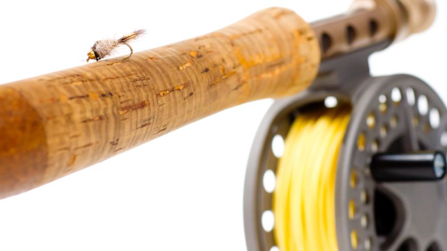 Mini Fishing Rod Rigs Reviews