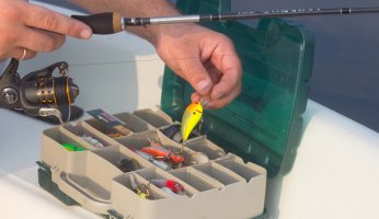 Fishing Lure Basics: What You Need to Know in 2021