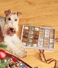 Dog Treats Gourmet Gift Box Lakeside Collection