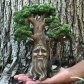Fairy Gnome Tree