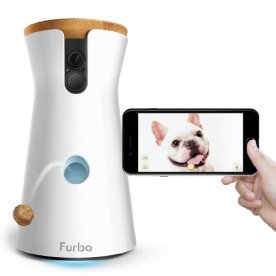 Furbo Dog Camera Reviewed in 2019 GearWeAre