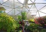 Greenhouse Geodesic Dome