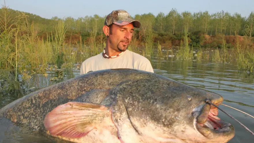 Noodling Catfish in Oklahoma